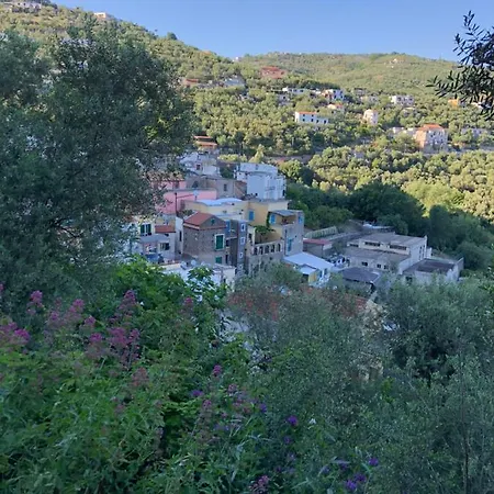 Petit Maison Jeranto Semesterbostad Nerano
